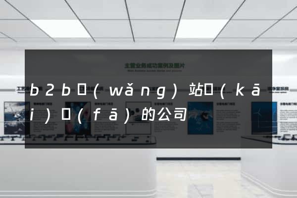 b2b網(wǎng)站開(kāi)發(fā)的公司