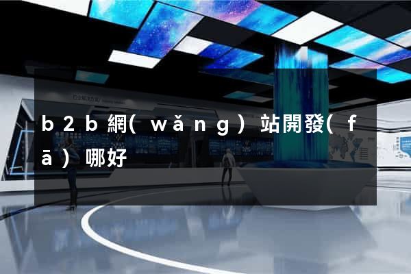 b2b網(wǎng)站開發(fā)哪好