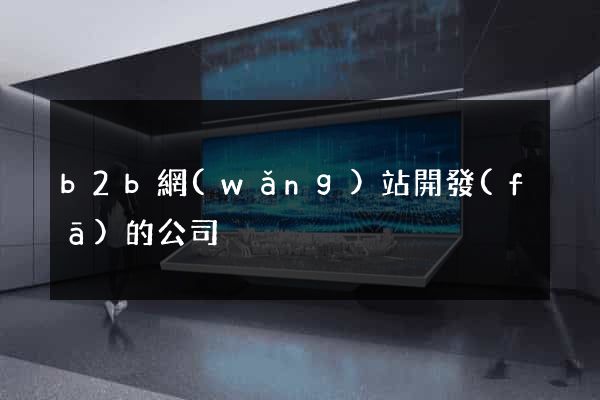 b2b網(wǎng)站開發(fā)的公司