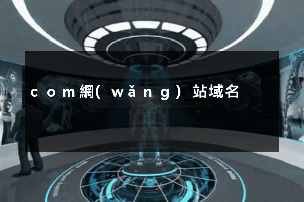 com網(wǎng)站域名