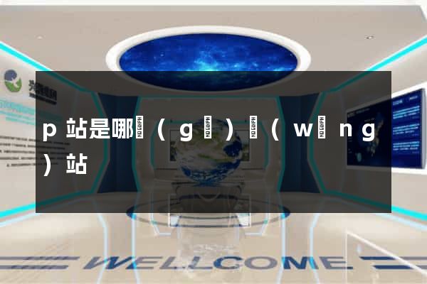 p站是哪個(gè)網(wǎng)站