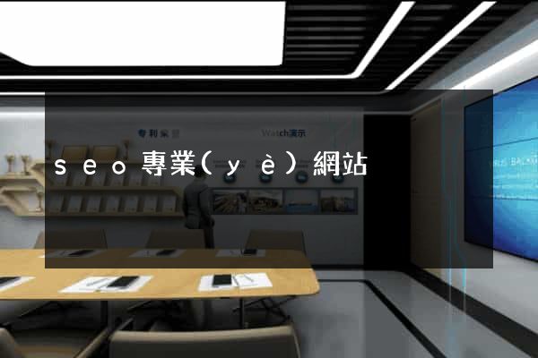 seo專業(yè)網站
