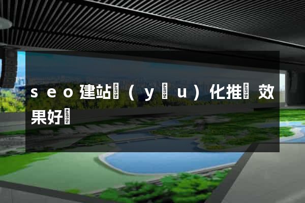 seo建站優(yōu)化推廣效果好嗎