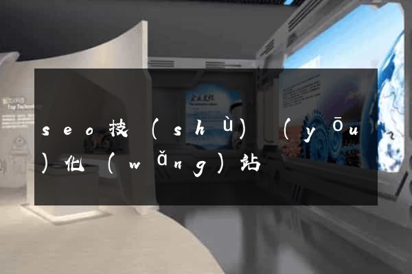 seo技術(shù)優(yōu)化網(wǎng)站
