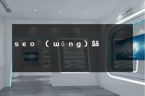 seo網(wǎng)站