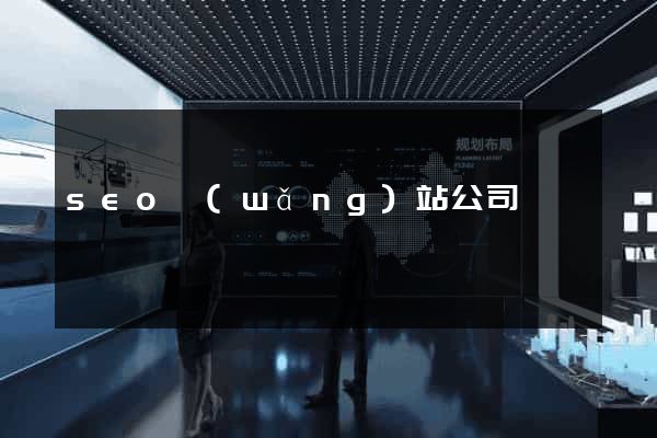 seo網(wǎng)站公司