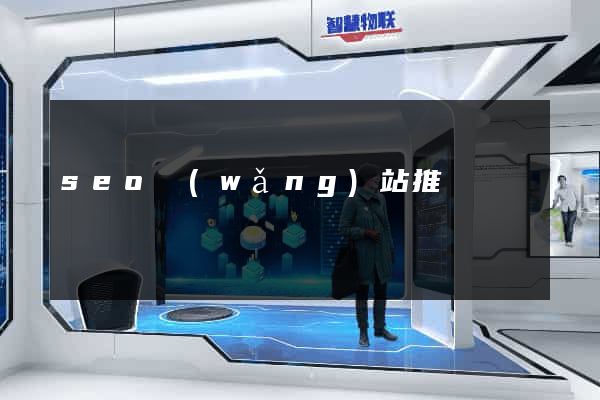 seo網(wǎng)站推廣