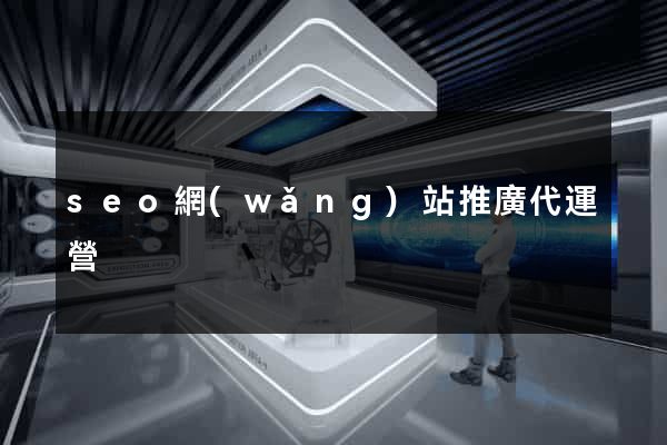 seo網(wǎng)站推廣代運營