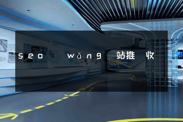 seo網(wǎng)站推廣收費