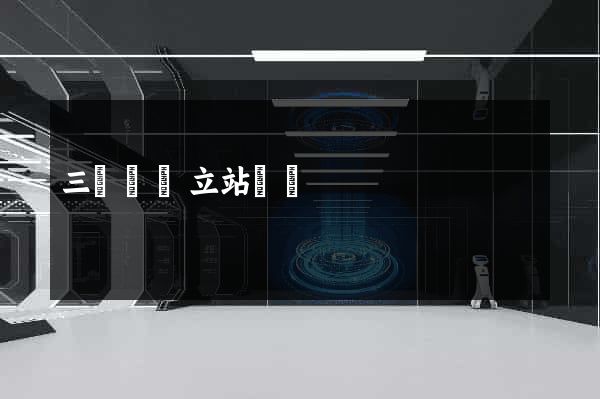 三門縣獨立站運營