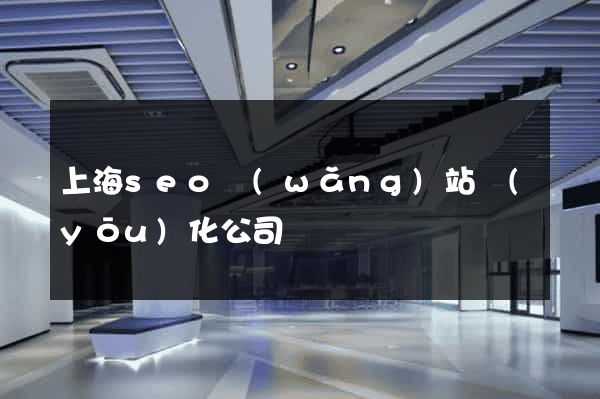 上海seo網(wǎng)站優(yōu)化公司
