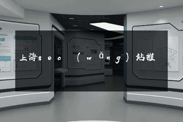 上海seo網(wǎng)站推廣