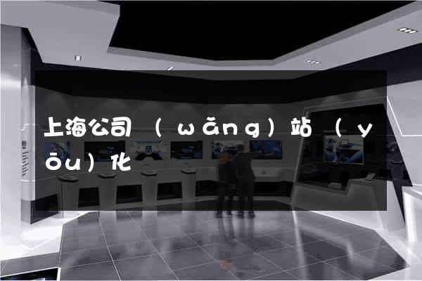 上海公司網(wǎng)站優(yōu)化