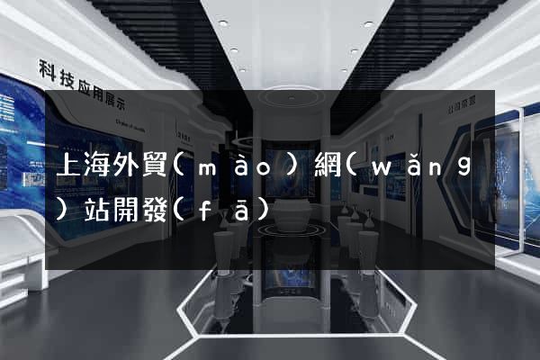 上海外貿(mào)網(wǎng)站開發(fā)