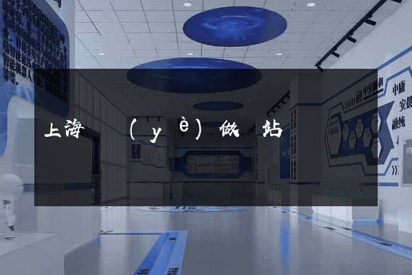 上海專業(yè)做網站