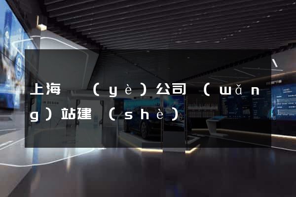 上海專業(yè)公司網(wǎng)站建設(shè)