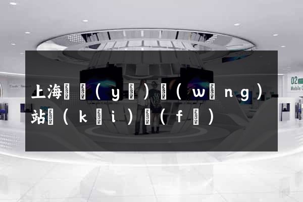 上海專業(yè)網(wǎng)站開(kāi)發(fā)