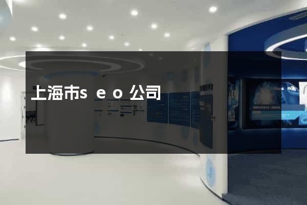 上海市seo公司