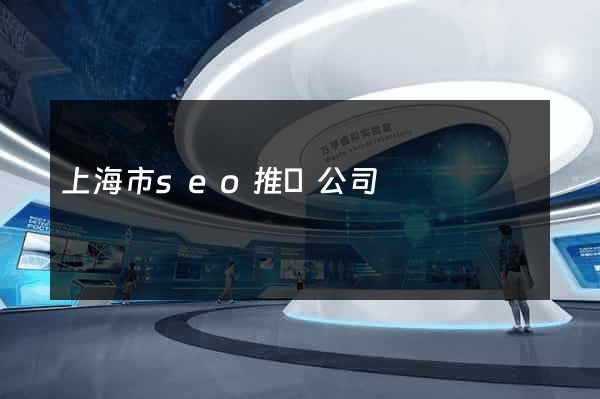 上海市seo推廣公司