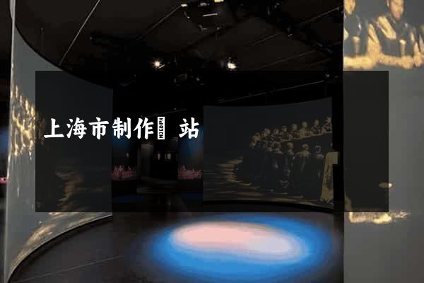 上海市制作網站