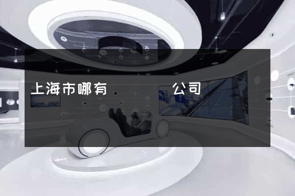 上海市哪有網頁設計公司