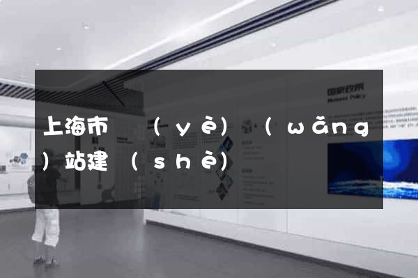 上海市專業(yè)網(wǎng)站建設(shè)