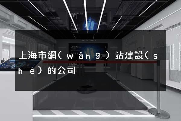 上海市網(wǎng)站建設(shè)的公司