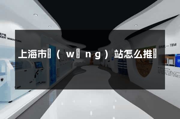 上海市網(wǎng)站怎么推廣