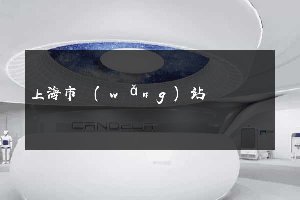 上海市網(wǎng)站營銷