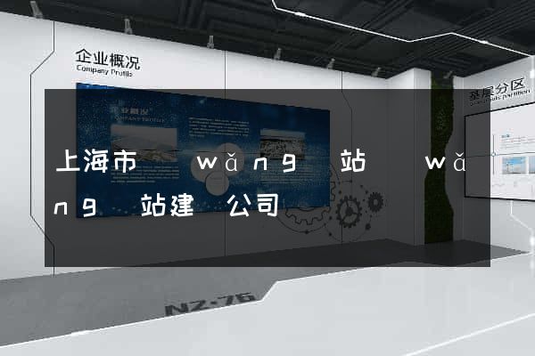 上海市網(wǎng)站網(wǎng)站建設公司