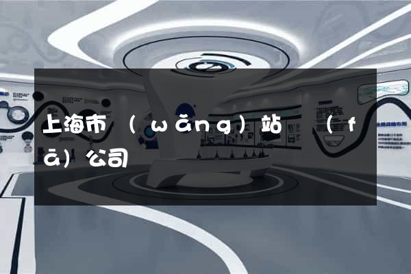 上海市網(wǎng)站開發(fā)公司