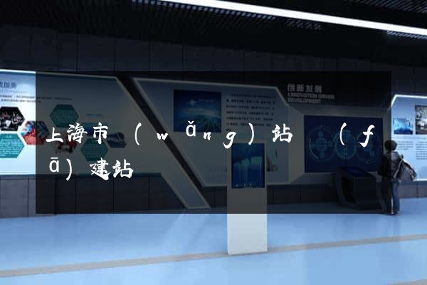 上海市網(wǎng)站開發(fā)建站
