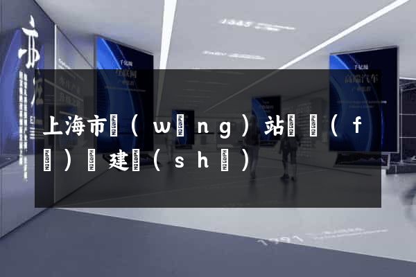 上海市網(wǎng)站開發(fā)與建設(shè)
