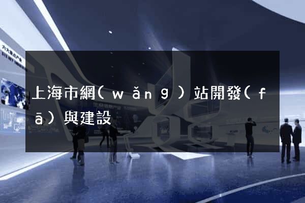 上海市網(wǎng)站開發(fā)與建設