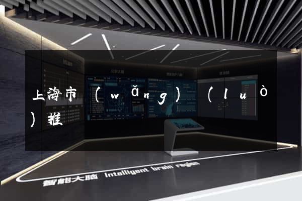 上海市網(wǎng)絡(luò)推廣