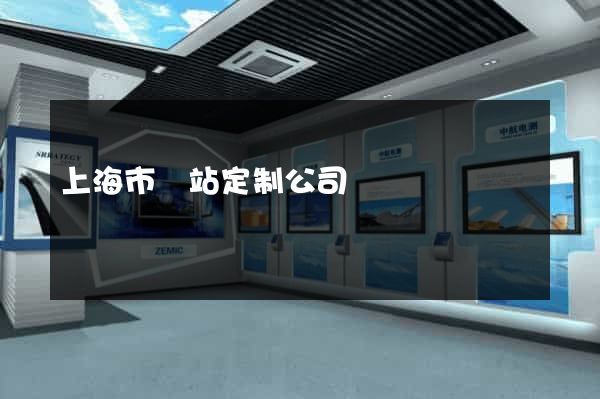 上海市網站定制公司