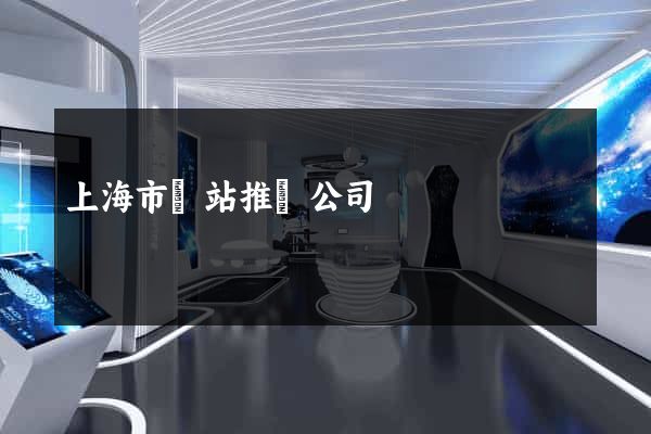 上海市網站推廣公司