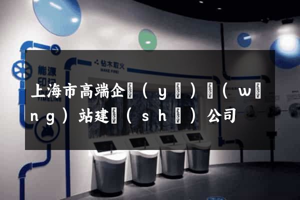 上海市高端企業(yè)網(wǎng)站建設(shè)公司