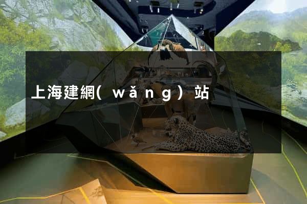 上海建網(wǎng)站
