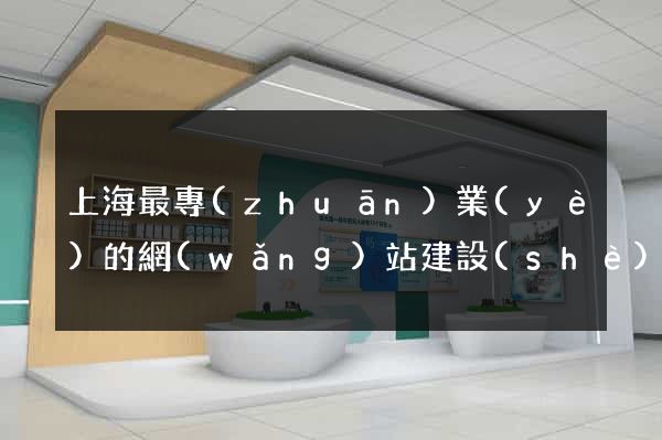 上海最專(zhuān)業(yè)的網(wǎng)站建設(shè)公司