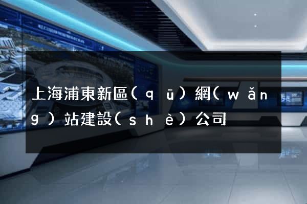 上海浦東新區(qū)網(wǎng)站建設(shè)公司