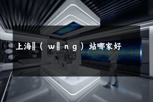 上海網(wǎng)站哪家好