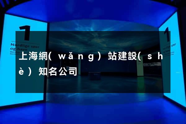 上海網(wǎng)站建設(shè)知名公司