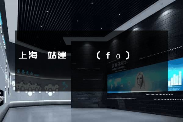 上海網站建設開發(fā)