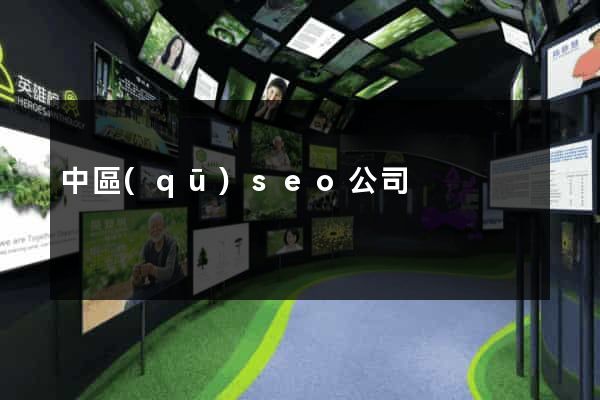 中區(qū)seo公司