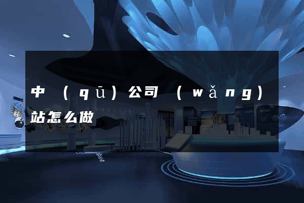 中區(qū)公司網(wǎng)站怎么做