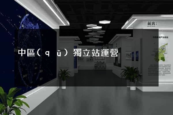 中區(qū)獨立站運營