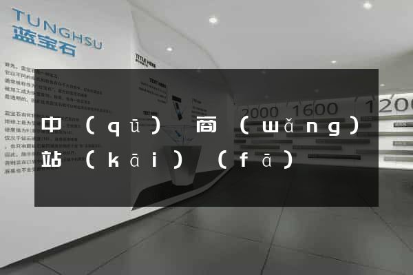中區(qū)電商網(wǎng)站開(kāi)發(fā)