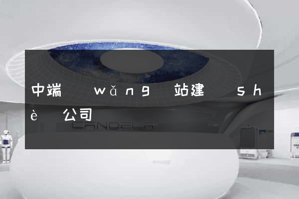中端網(wǎng)站建設(shè)公司