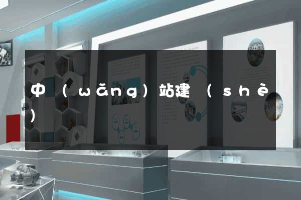 中網(wǎng)站建設(shè)